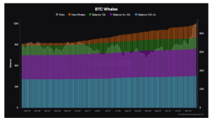 Dados de saldo de baleias BTC (captura de tela). Fonte: CryptoQuant